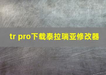 tr pro下载泰拉瑞亚修改器